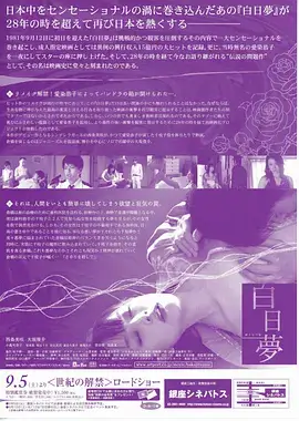 落日办事处轻喜剧电视剧在线看